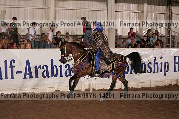 Proof 09yn-14201