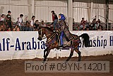 09yn-14201 proof