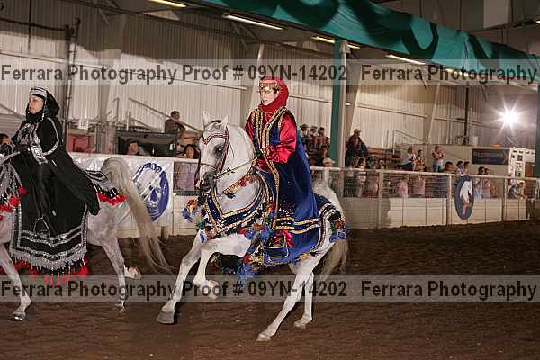 Proof 09yn-14202