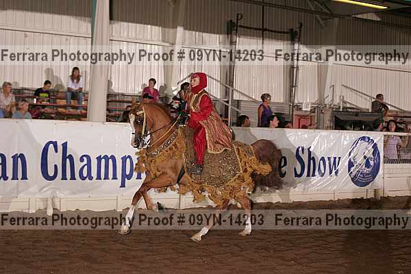 Proof 09yn-14203