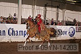 09yn-14203 proof