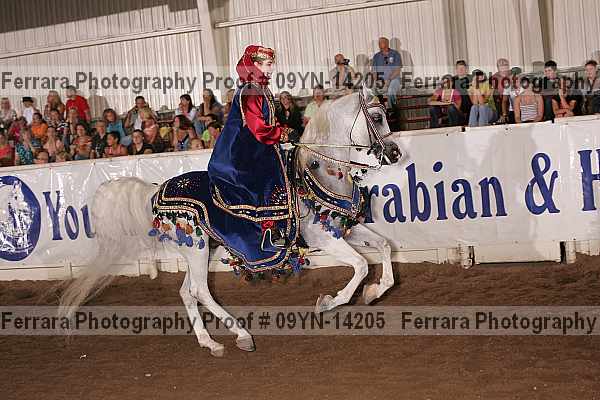 Proof 09yn-14205