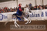 09yn-14205 proof