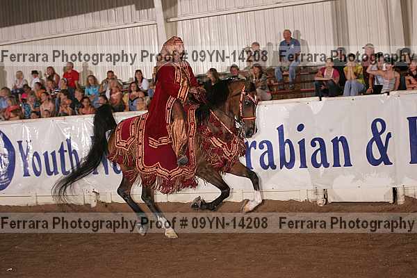 Proof 09yn-14208