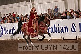 09yn-14208 proof