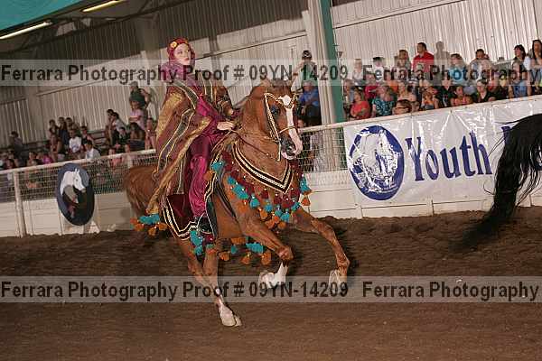 Proof 09yn-14209