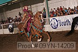 09yn-14209 proof