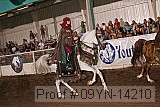 09yn-14210 proof