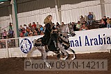 09yn-14211 proof