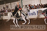 09yn-14212 proof