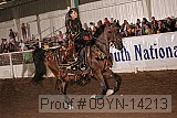 09yn-14213 proof