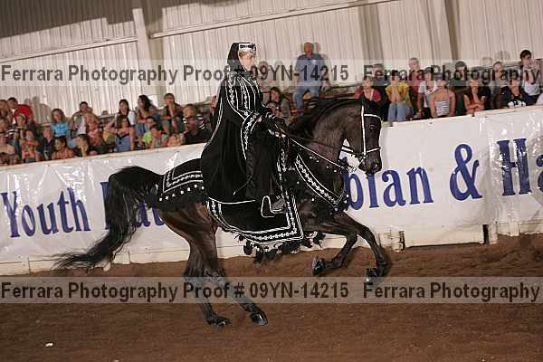 Proof 09yn-14215