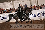 09yn-14215 proof