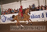 09yn-14217 proof