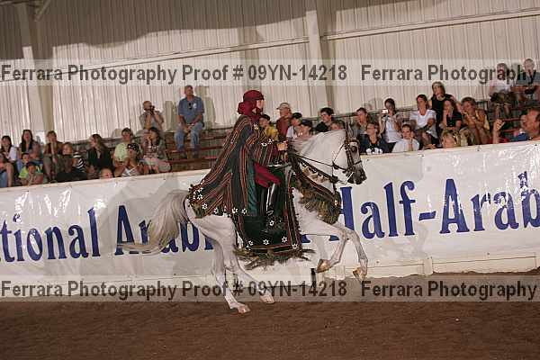 Proof 09yn-14218