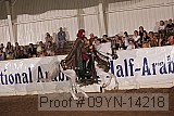 09yn-14218 proof