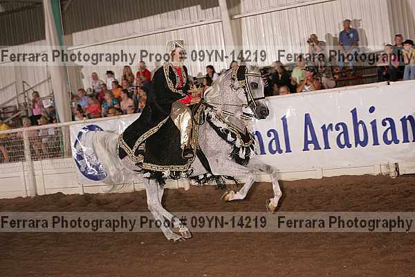 Proof 09yn-14219