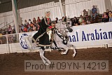 09yn-14219 proof