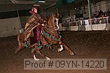 09yn-14220 proof