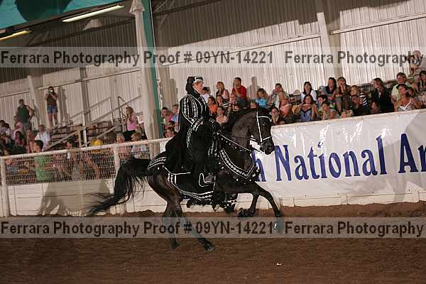 Proof 09yn-14221