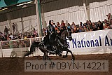 09yn-14221 proof