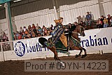 09yn-14223 proof