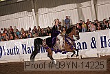 09yn-14225 proof