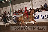 09yn-14226 proof