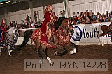 09yn-14228 proof