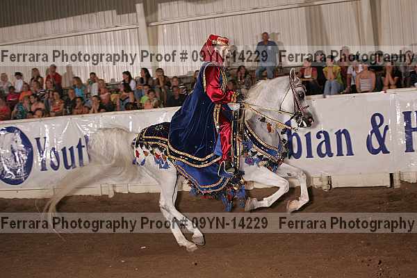Proof 09yn-14229