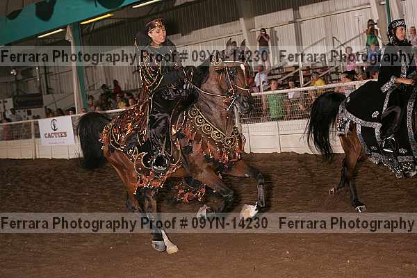 Proof 09yn-14230