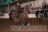 09yn-14230 proof