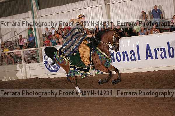 Proof 09yn-14231