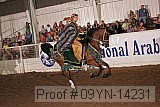 09yn-14231 proof