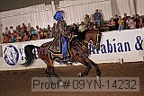09yn-14232 proof