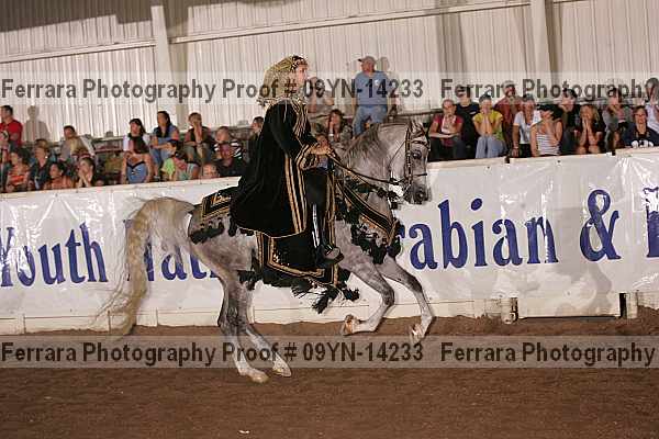 Proof 09yn-14233