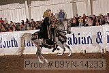 09yn-14233 proof