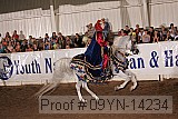 09yn-14234 proof