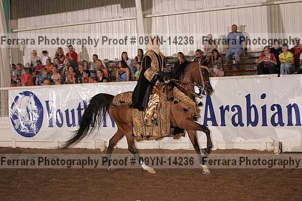 Proof 09yn-14236