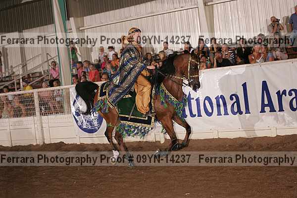 Proof 09yn-14237
