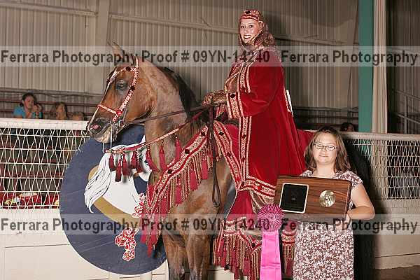 Proof 09yn-14240