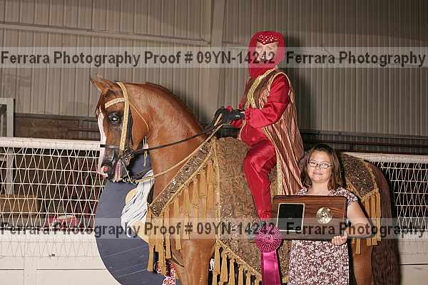 Proof 09yn-14242