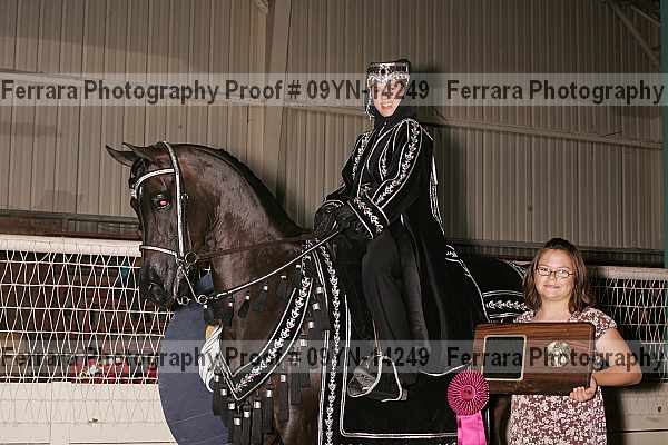 Proof 09yn-14249
