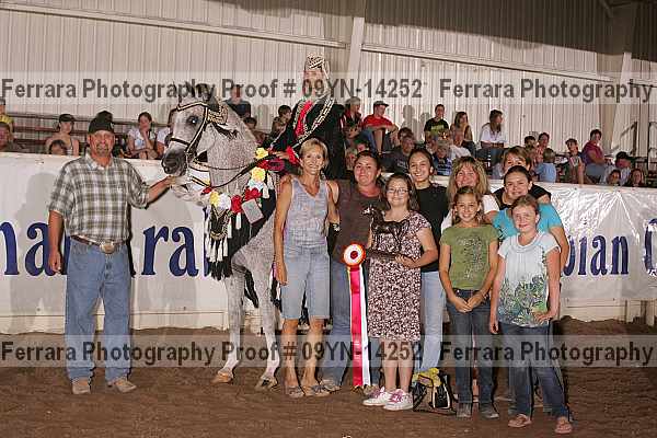 Proof 09yn-14252