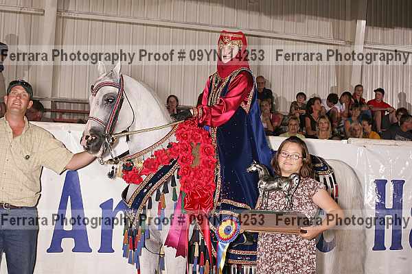 Proof 09yn-14253