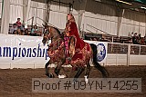 09yn-14255 proof