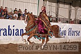 09yn-14259 proof