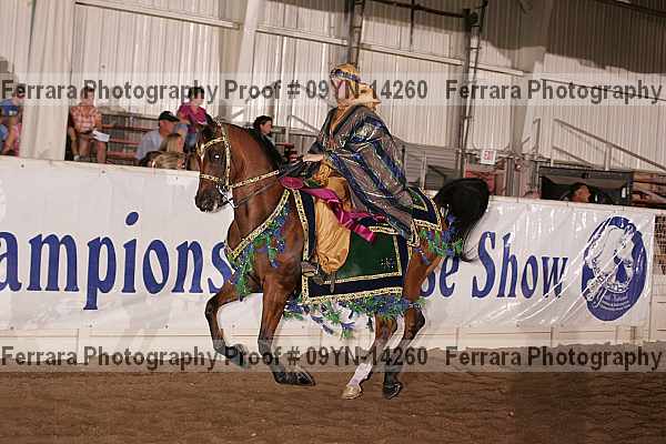 Proof 09yn-14260