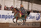 09yn-14260 proof
