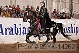 09yn-14262 proof